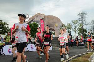 BIB: 
                            <button type="button" onclick="openModal(26528343)" class="btn btn-primary btn-sm float-right btn-popup" data-toggle="modal" data-target=".modal-high-quality">
                        <i class="fas fa-shopping-cart"></i> Add to Cart
                    </button>
                                            <button type="button" onclick="isThisMe(26528343, true)" class="btn btn-success btn-sm float-right btn-popup btn-isme hidden" data-toggle="tooltip" data-placement="bottom" title="นี่คือรูปของคุณใช่ไหม คลิกที่นี่เพื่อเอาเข้าอัลบั้ม">
                        <i class="fas fa-plus"></i> Add to album
                    </button>
                    <button type="button" onclick="isThisMe(26528343, false)" class="btn btn-warning btn-sm float-right btn-popup btn-isnotme hidden">
                        <i class="fas fa-ban"></i> Remove from album
                    </button>